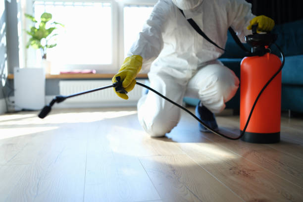 Reliable Odor Removal contractor in Lewiston, ID by Trauma Clean Pros